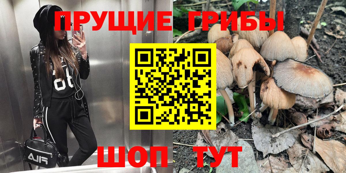 Корсаков  Псилоцибиновые грибы Psilocybine cubensis  Вход с VPN 